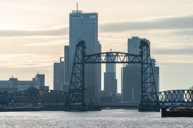 Skyline in Rotterdam door Sonny Vermeer (bron: Shutterstock)