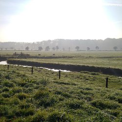 Utrecht polder