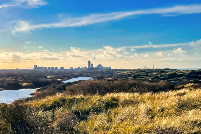 Skyline Den Haag vanuit de duinen door Oliverdelahaye (bron: shutterstock)