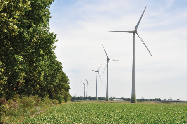 Windpark Neer (westzijde) door Abortthieu (bron: Wikimedia Commons)