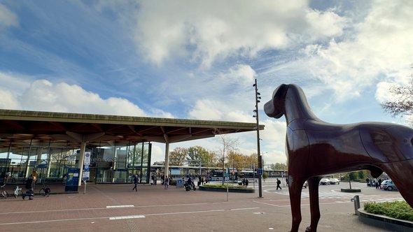 Mannes en station Assen door Kees de Graaf (bron: Kees de Graaf)