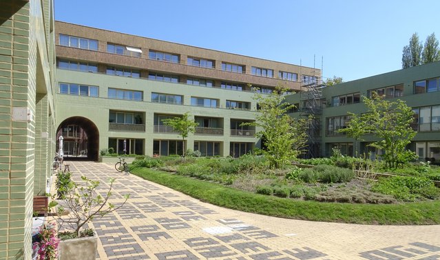 Spaarndammerhart Amsterdam door Nanda Sluijsmans (bron: Nanda Sluijsmans)