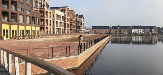 Waterplein, binnenkort met bomen, bankjes en steigers. door Haan en Laan (bron: Haan en Laan)