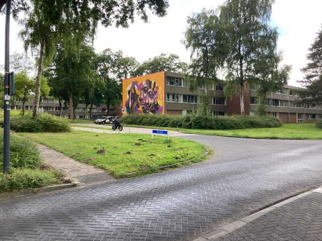 Emmerhout, Emmen door Teun van den Ende (bron: Teun van den Ende)