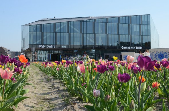 Tulpen rondom station Delft, april 2018 door Steven Lek (bron: Wikimedia)
