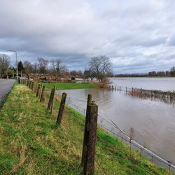 Hoogwater in de rivier de Ijssel door Picture-Partners (bron: Shutterstock)