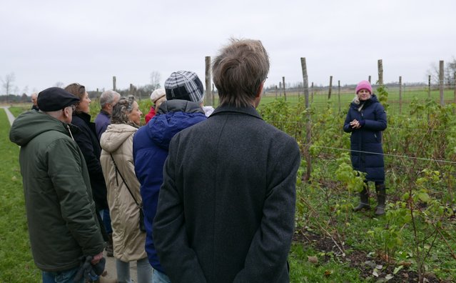 Voorzitter Zaza Versteeg van Herenboeren Duinstreek geeft uitleg in de zelfpluktuin door Jaco Boer (bron: Gebiedsontwikkeling.nu)