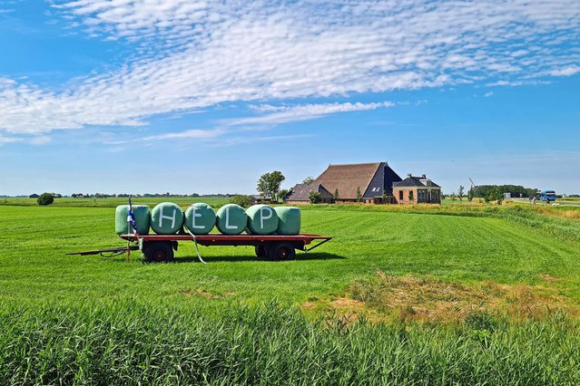 Protest tegen het stikstofbeleid door Steve Photography (bron: Shutterstock)