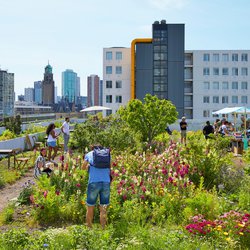 Dakterrassen in Rotterdam. door R. de Bruijn_Photography (bron: Shutterstock)