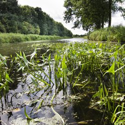 Thumb_landelijk_0_1000px
