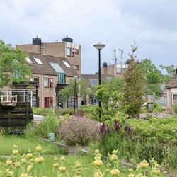 Heerhugowaard Nederland door Yuliia24 (bron: Shutterstock)