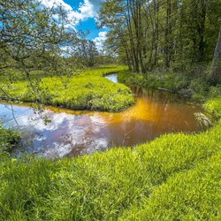 Nationaal Park Drentsche Aa door Rudmer Zwerver (bron: shutterstock)