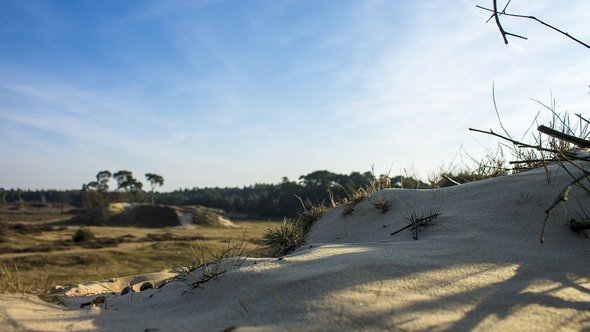 Veluwe