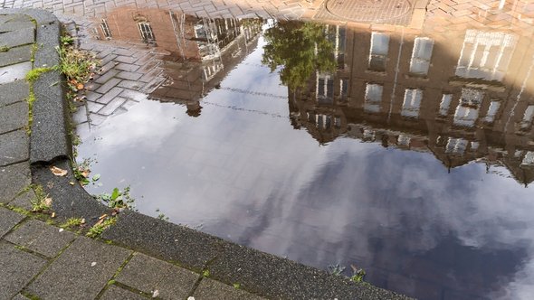Een plasje in Amsterdam door Hazel Plater (bron: shutterstock)