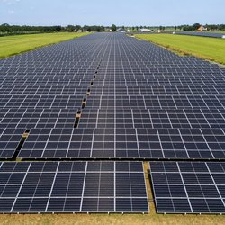 Veel zonnepanelen parkeren in de weilanden van Nederland door MyStockVideo (bron: Shutterstock)