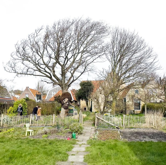 Tuinen Vlieland door PeetersenDaan (bron: PeetersenDaan)