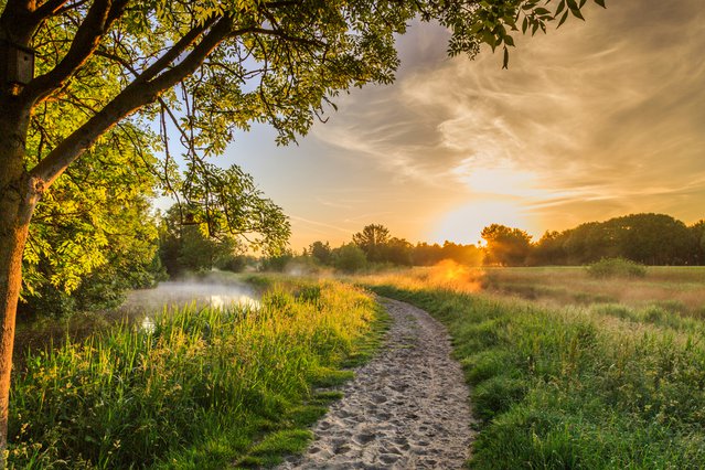 Nederlandse natuur door Photodigitaal.nl (bron: shutterstock.com)