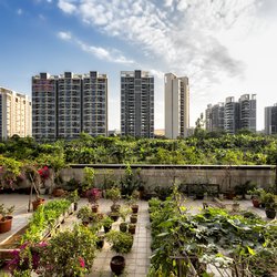 Urban farming in Guangzhou, China. door Jose L Vilchez (bron: Shutterstock)