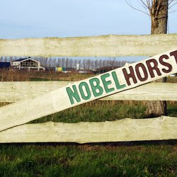 Nobelhorst in Almere door Jarretera (bron: Shutterstock)