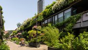 Groene straat in het centrum van Eindhoven door Lea Rae (bron: Shutterstock)