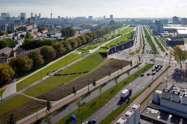 Dakpark Rotterdam door Sant en Co Landschapsarchitectuur. (bron: Article Stefan Al)