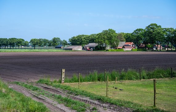 Verse ingezaaide landbouwgrond voor de voedingsindustrie op het Nederlandse platteland in Huijbergen, Noord-Brabant, Nederland 16 mei 2025 door Werner Lerooy (bron: Shutterstock)