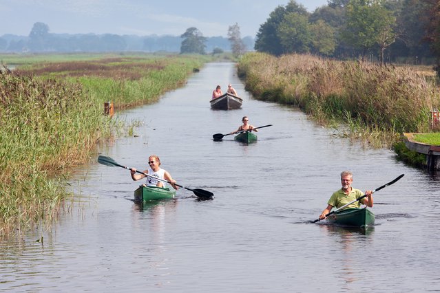 Weerribben door T.W. van Urk (bron: Shutterstock)