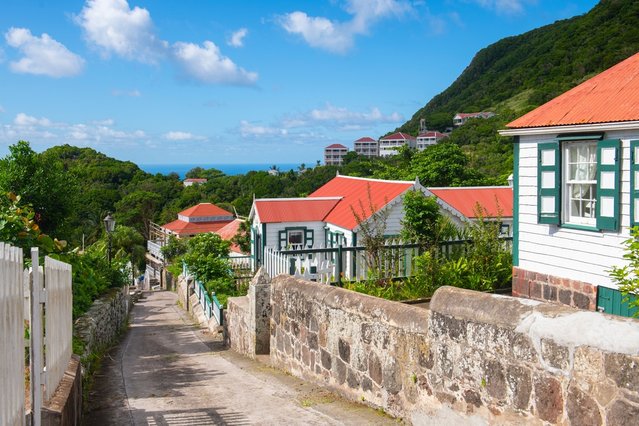 Saba door Wangkun Jia (bron: shutterstock)