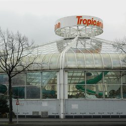 tropicana