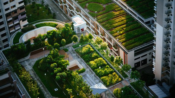 groene daken stad ->Photo by chuttersnap on Unsplash door Chuttersnap (bron: Unsplash)