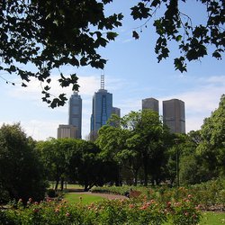 Melbourne Skyline Wikimedia Commons door Cookaa (bron: Wikimedia Commons)