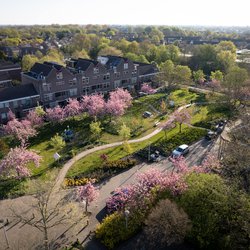 Stadswerk Arkplein door Erik Boschman (bron: Stadswerk072)