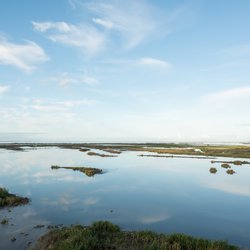 Marker Wadden door Theo Baart (bron: Theo Baart)