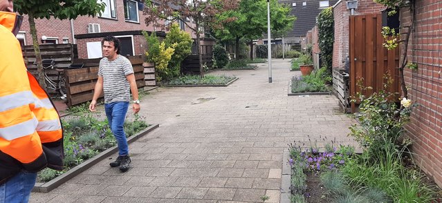Vergroening achterpaden in Arnhem Zuid door Carmen Aalbers (bron: Carmen Aalbers)