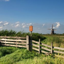 Donkse Laagten Alblasserwaard door jstuij (bron: Shutterstock)