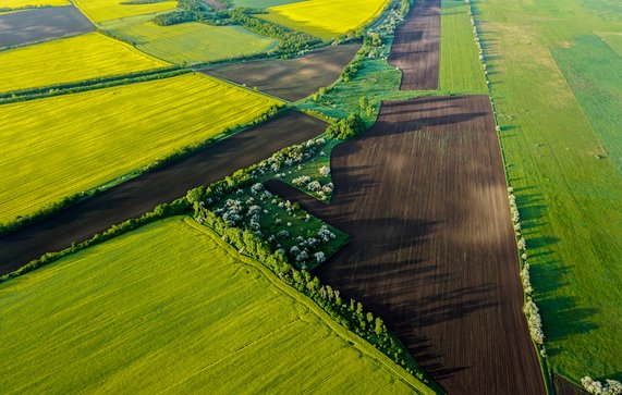 Platteland met groene en gele landbouwvelden. door Stefan Milivojevic (bron: shutterstock)