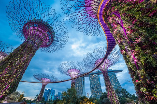 Singapore city skyline door Kanuman (bron: Shutterstock)