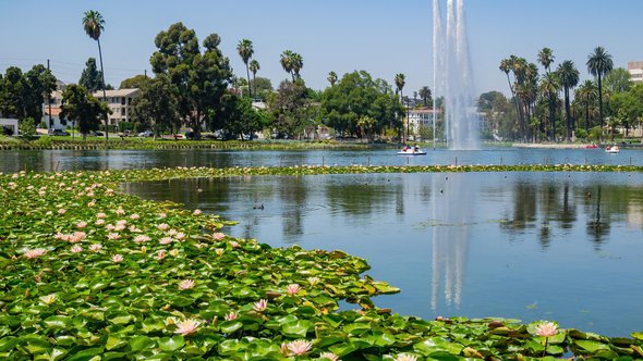 Park in Los Angeles door Kit Leong (bron: Shutterstock)