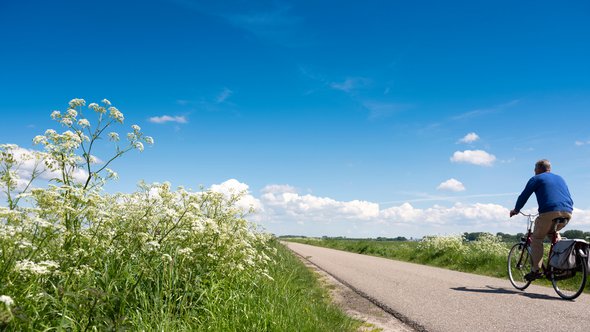man op fiets passeert witte zomerbloemen op landweg nabij weiden, in Nederland door Anton Havelaar (bron: Shutterstock)