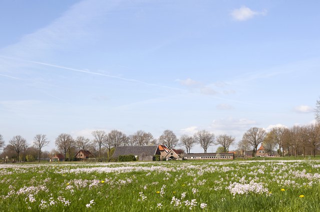 Boerderij in Renswoude door Anton Havelaar (bron: Shutterstock)