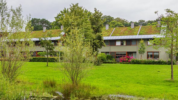 Groene daken, Arnhem door INTREEGUE Photography (bron: Shutterstock)