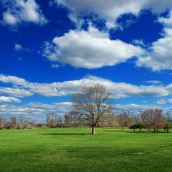 gras landschap veld cloud platteland door Pixino (bron: Pixino)