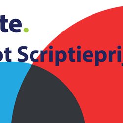 2013.12.03_Deloitte_Scriptieprijs_Cover