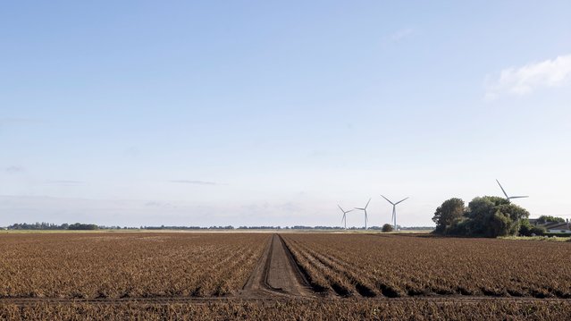 Polderlandschap ten oosten van Peterborough, Verenigd Koninkrijk door Luuk Kramer (bron: Nederlandse Waterwerken Wereldwijd)