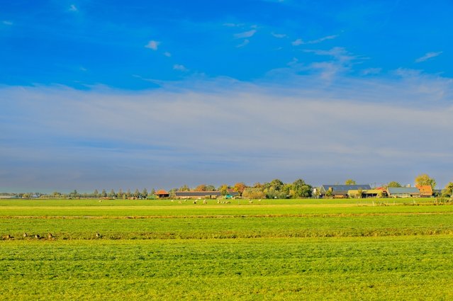 Polder Rietveld Alphen aan den Rijn door Photodigitaal.nl (bron: Shutterstock)