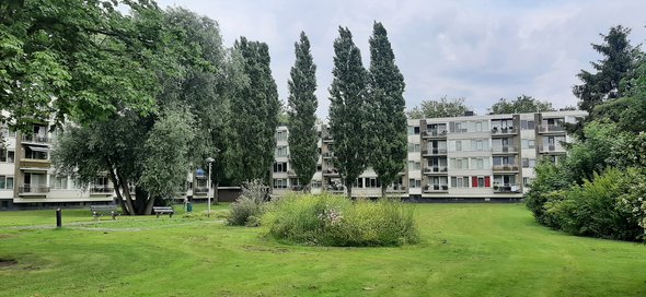 Openbare ruimte in de Westwijk door Haan en Laan (bron: Gebiedsontwikkeling.nu)