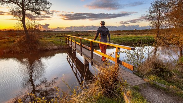 Nederlands landschap Nationaal Parklandschap de Drentsche Aa, provincie Drenthe door Rudmer Zwerver (bron: Shutterstock)