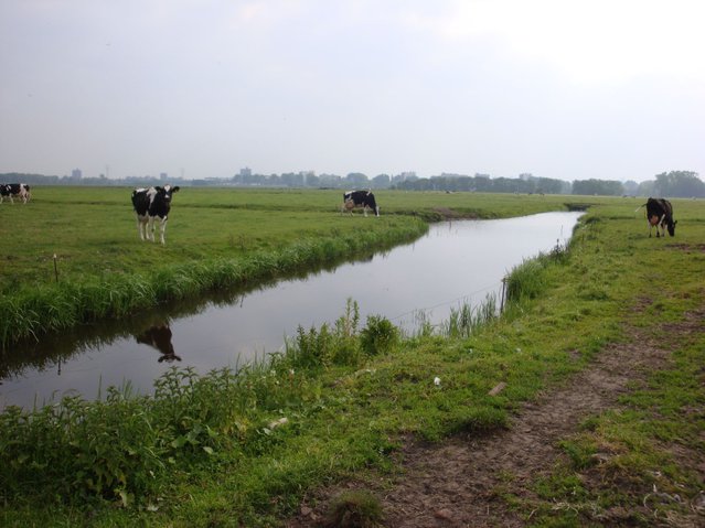 Praktijkcongres Gebiedsontwikkeling 2014 - Afbeelding 1