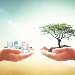 Klimaatadaptief bouwen door Jacob_09 (bron: Shutterstock)