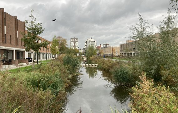 Tromptuinen in Wielwijk met aan weerszijden koopwoningen door Teun van den Ende (bron: Teun van den Ende)